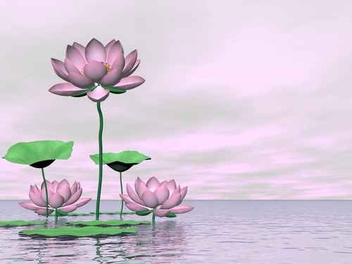 ӡ���ʦ�ڼ��������ӡ������󶨾�ʿ