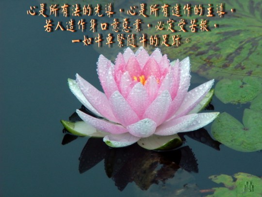 ��̵ĺ뷨�˲�̫����