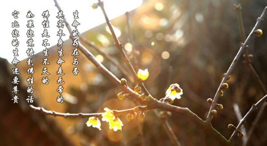 һ����Ե���֣���������