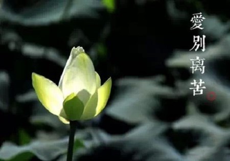 ��֪����������,�����ǰ������
