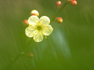 Ů�˰������ӾͰ�������ס��