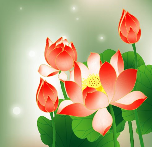 ���ӻ�����7�����Ҷ���������С��