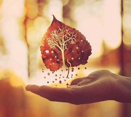 ����ɮ�˺��ڼҾ�ʿ������