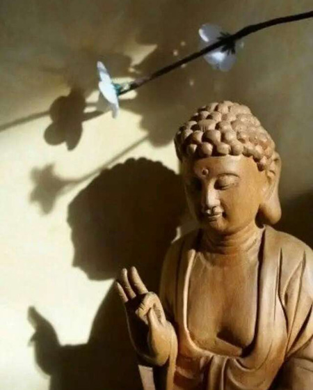 �����项�����彡����Ӱ��