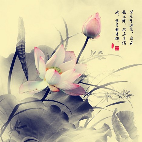 һλú�ϰ�������Ӧ