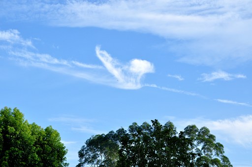 ������ٻ��������������