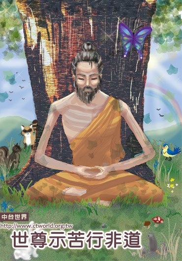 ����ʾ���зǵ�