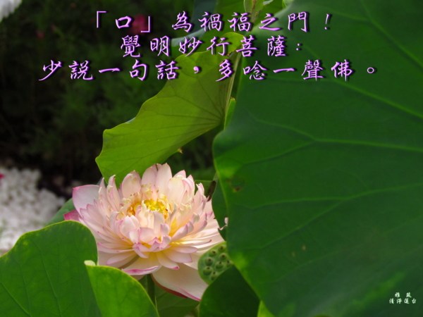 ��ҵ�徻�ˣ�������������Լ�