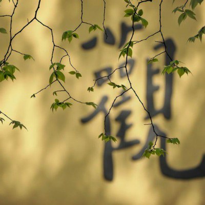 ��Ӧ�иֹǵ������а���