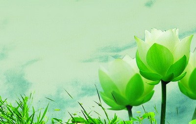 ȱ�¾���Ҫ��Ƣ��