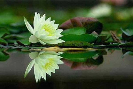 ˵�����ű߼ʵĴ�ţ��