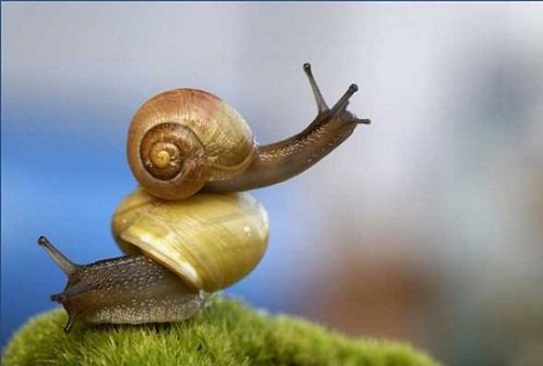 һ�������������Եþ�