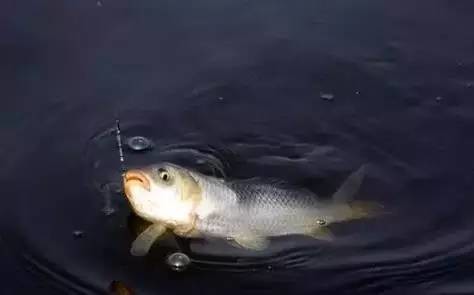 ���㣬���̵�����