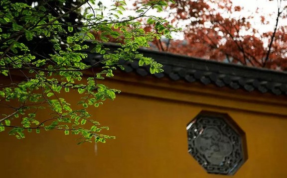 �����������У��쳾������