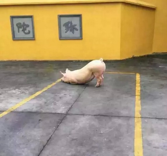 ����ʳ�⣬��ν����ӦȻ��