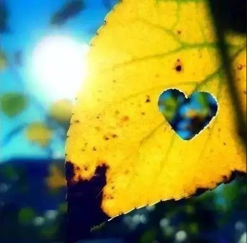 һ����˽���ģ���ƫ���˵�