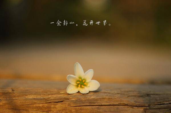 ����ƽ��������ͷ��Ҳ�����һЩ
