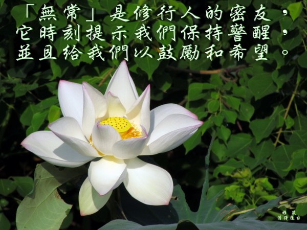 ��˷𷨽�˵���벻��������