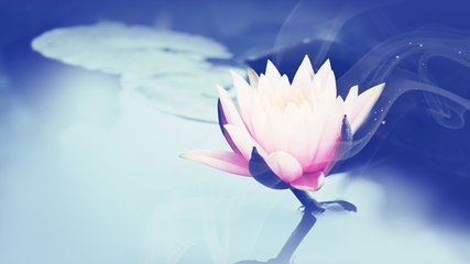 ʮ�ֲ���ҵ�Ĺ������