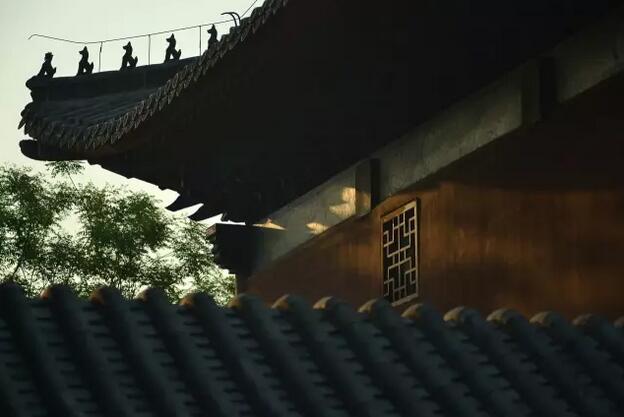 ����֪�������룬Ϊ�β���ʰ�ɾ�