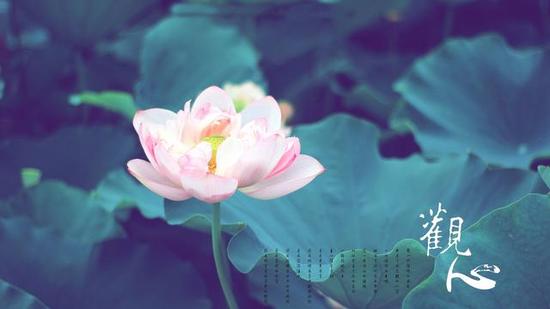 �ڼ������Ĳ�͵���벻�����