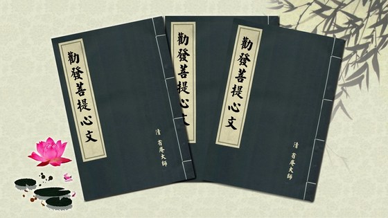 �꺣��ʦ��Ȱ����������