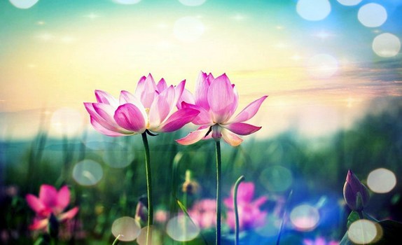 �淶��������ҵ