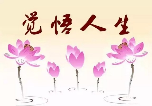 �����޷�