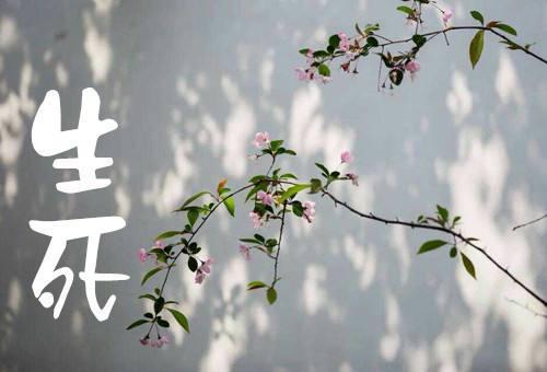 �����ӷ����������������ǻ����η�Ӧ