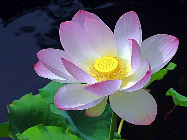 ʮ���곤ի��𣬶�ʮ��ɾ���������