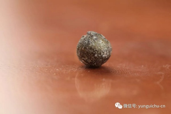 �����޾� ��Ը�ּᡪ��һ�ϳ����������ߢӰ
