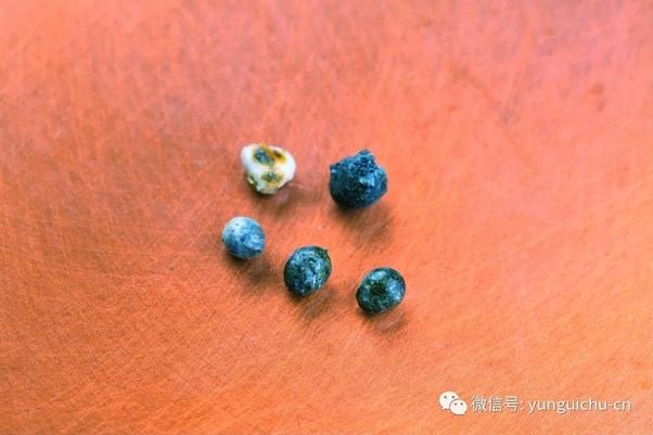 �����޾� ��Ը�ּᡪ��һ�ϳ����������ߢӰ