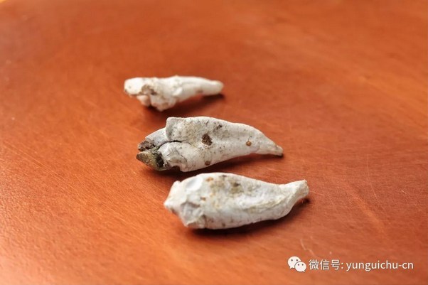 �����޾� ��Ը�ּᡪ��һ�ϳ����������ߢӰ