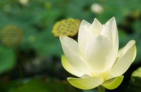 Ҫ�����������Դ�Ϊ��һ��