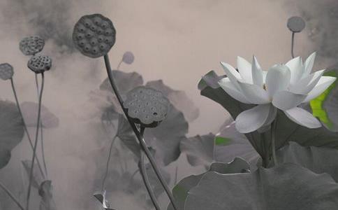 ֪���ж��뱨��