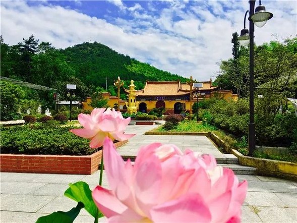 ���ܻ���������Ե���ʵóɾͽ����
