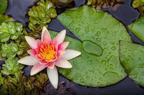 ����Ϣ���޷���ע������