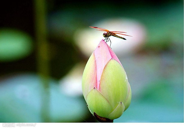 ���뿴�ƺ쳾����ѧ����