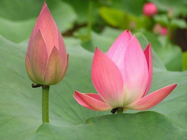 �꺣��ʦ����˵�����پ�