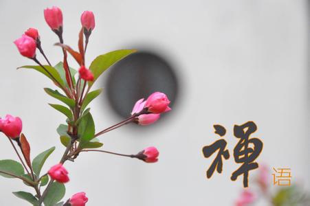 ��һ���ľ���һ�еķ�