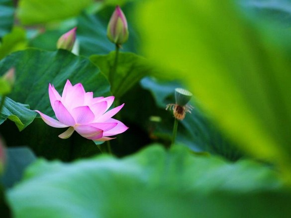 �꺣��ʦ������ʮ����