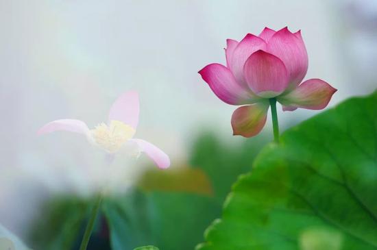 ��һ�ΰ˹�ի�䣬�ͳ�������������һ������