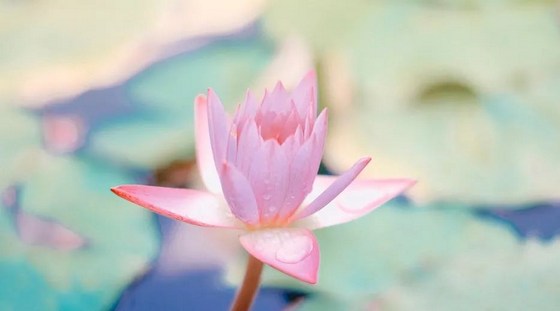 �޲�ʩ��Ҫ����������