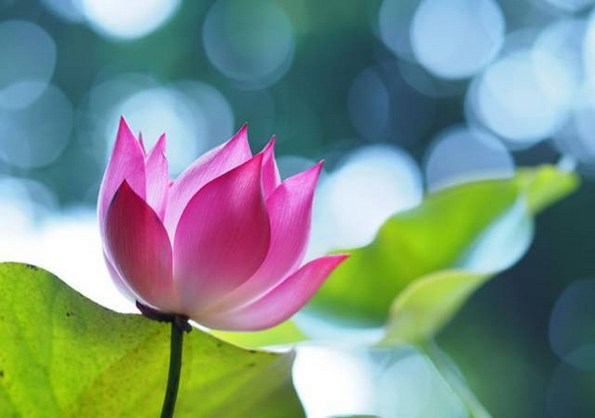 ����ҵ�������Ƿ�Ӧ��˵Ϊ����ҵ������