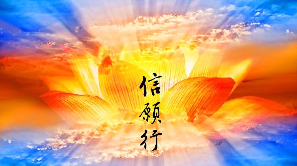���ĵ����Ͽ�����𣬲��ܸз���Ӧ