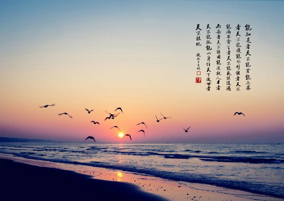 ��𹤷�ֻ����ʵ����