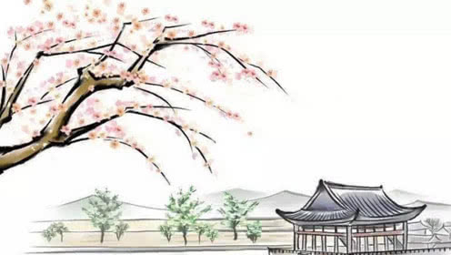 �Լ����Ƶ������滹�Ǽ�
