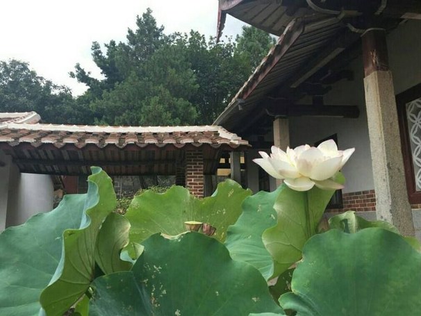 ��Ѱ����תΪ���丣��