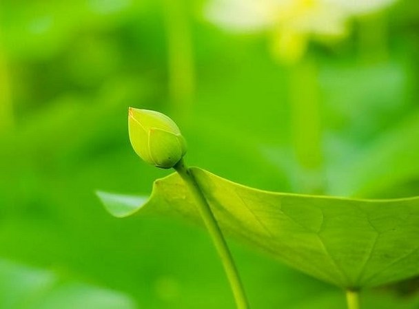 Ϊ���ڷ���Ӧ��Ҫ�дȱ���