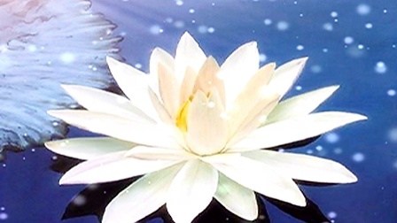 �ڼҾ�ʿ���Σ���һ��Ϊ��